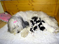 16.01.14 - �berfall ! oh,oh- wir krabbeln schon! 
