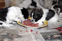 25.01.2014 - Alles meins !