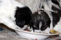 25.01.2014 - Lecker !