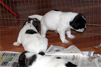 25.01.2014 - Nach dem essen l�sst es sich gut ....